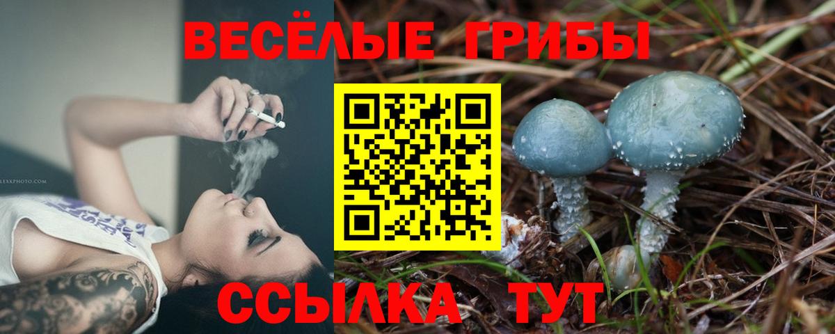 Новодвинск  Галлюциногенные грибы MAGIC MUSHROOMS  Вход с VPN 